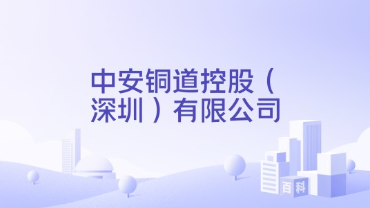 中安铜道控股（深圳）有限公司