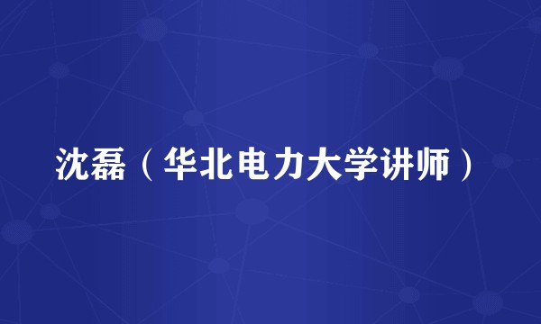 沈磊（华北电力大学讲师）