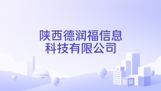 陕西德润福信息科技有限公司