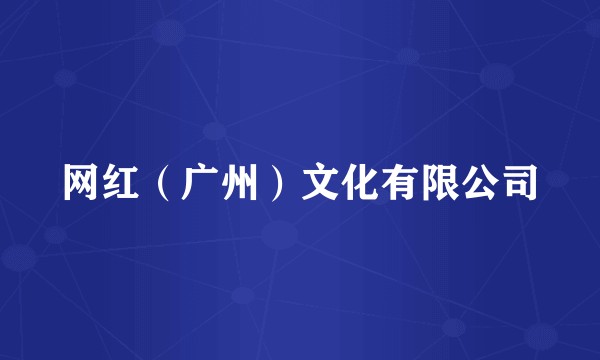 网红（广州）文化有限公司
