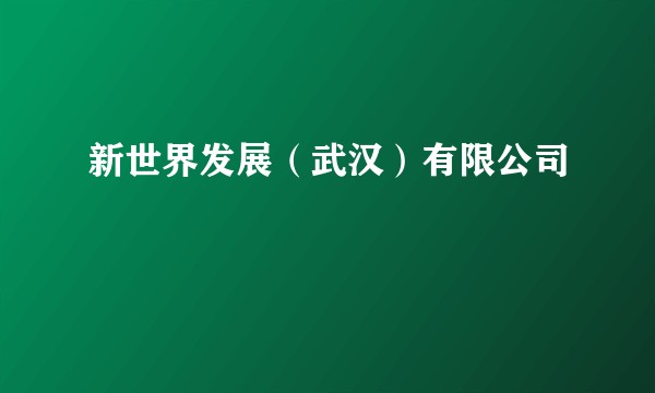 新世界发展（武汉）有限公司