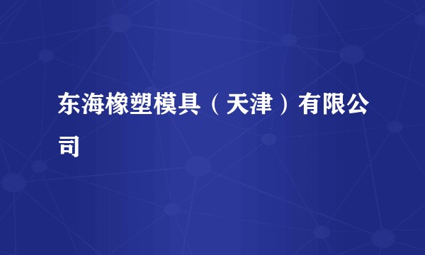 东海橡塑模具（天津）有限公司