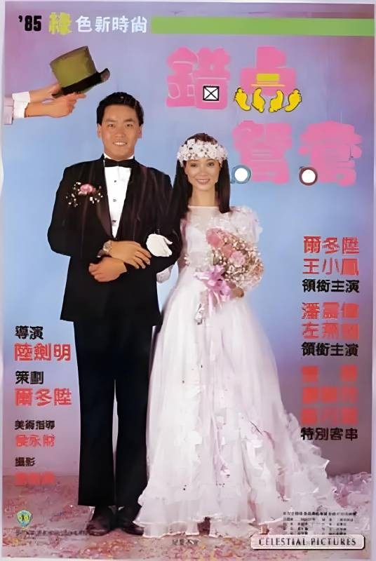 错点鸳鸯(1985年陆剑明执导的剧情电影)