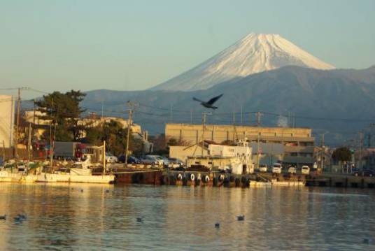 津市(日本城市)