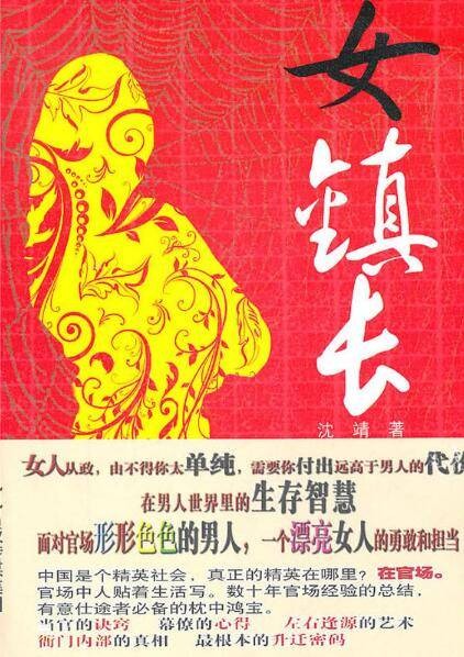 女镇长(2011年江苏文艺出版社出版的图书)
