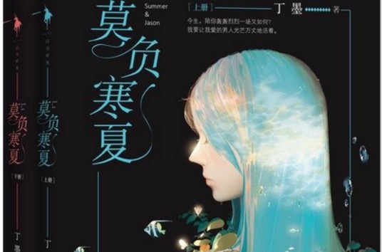 莫负寒夏(2016年百花洲文艺出版社出版的图书)