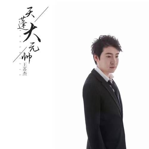 天蓬大元帅（王苏杰演唱的歌曲）