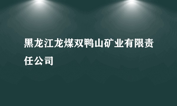 黑龙江龙煤双鸭山矿业有限责任公司
