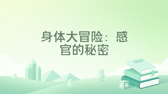 身体大冒险：感官的秘密