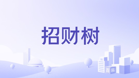 招财树（玩具、锻炼身体器械和游戏机品牌）