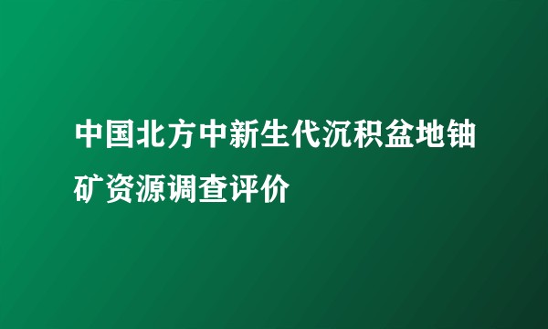中国北方中新生代沉积盆地铀矿资源调查评价