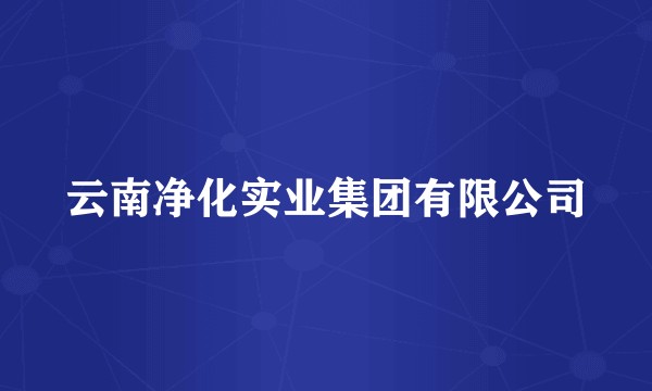 云南净化实业集团有限公司