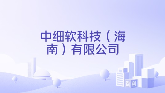 中细软科技（海南）有限公司