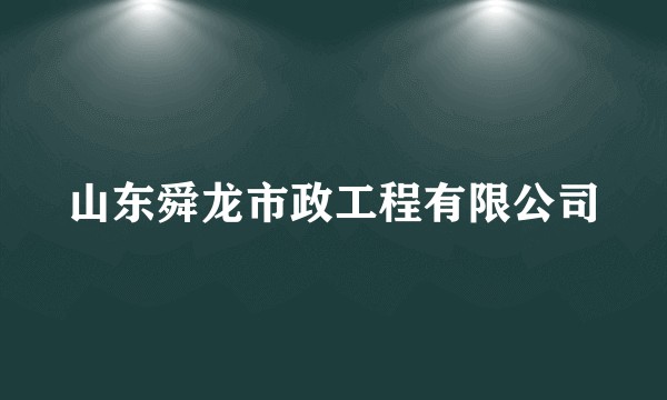 山东舜龙市政工程有限公司