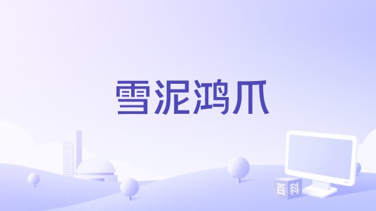 雪泥鸿爪（2015年海金星、周毅执导纪录片）