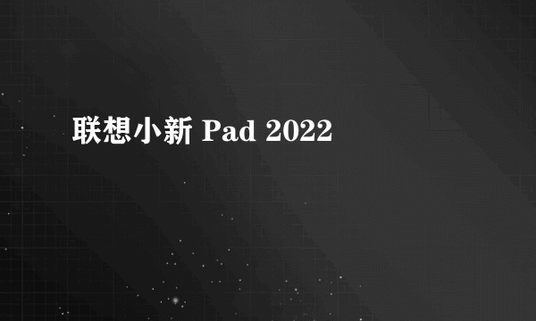联想小新 Pad 2022