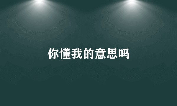 你懂我的意思吗