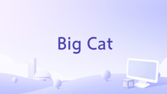 Big Cat