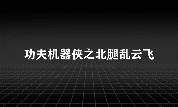 功夫机器侠之北腿乱云飞