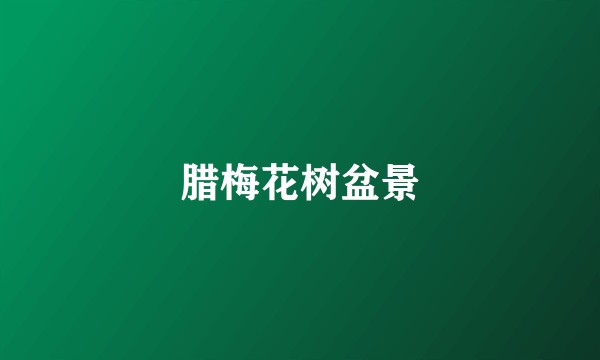 腊梅花树盆景