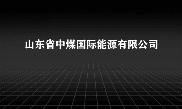 山东省中煤国际能源有限公司