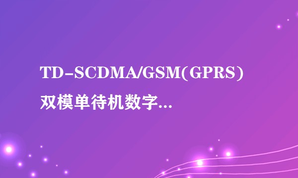 TD-SCDMA/GSM(GPRS)双模单待机数字移动通信终端技术要求