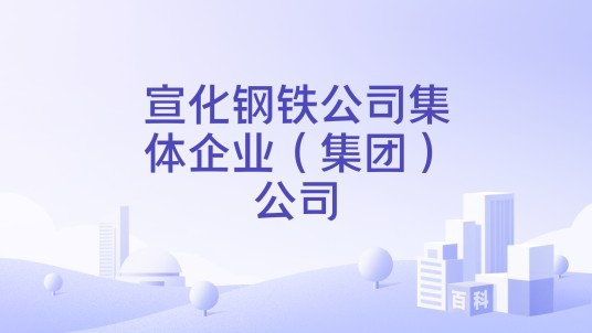 宣化钢铁公司集体企业（集团）公司