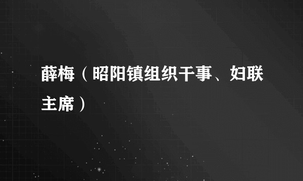 薛梅（昭阳镇组织干事、妇联主席）