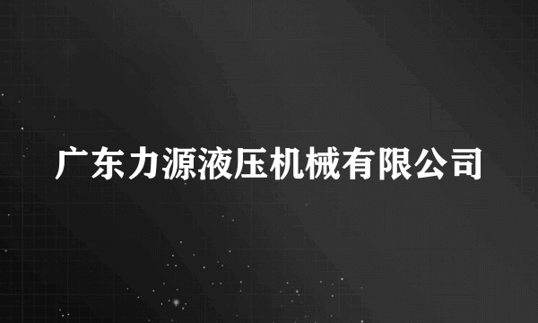 广东力源液压机械有限公司