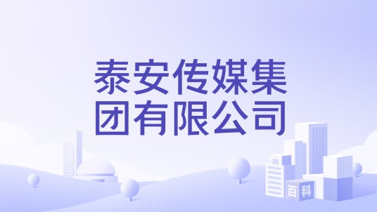 泰安传媒集团有限公司