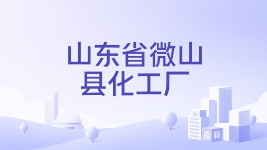 山东省微山县化工厂