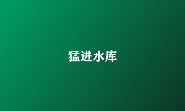 猛进水库