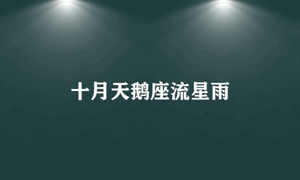 十月天鹅座流星雨