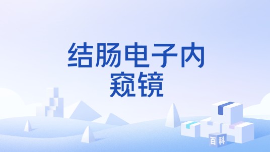 结肠电子内窥镜
