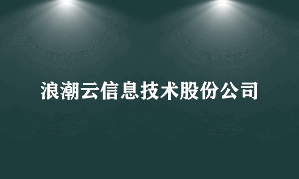 浪潮云信息技术股份公司