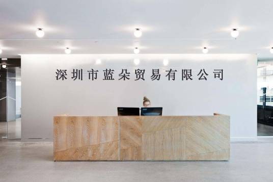 深圳市蓝朵贸易有限公司