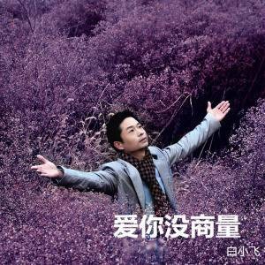 爱你没商量（白小飞音乐作品）