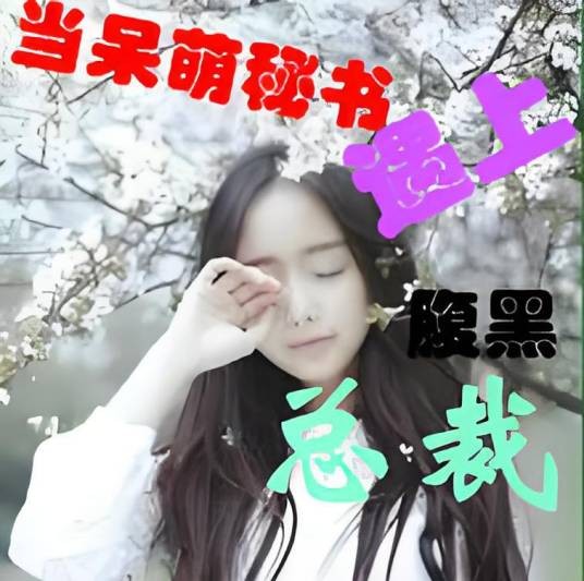当呆萌秘书遇上腹黑总裁