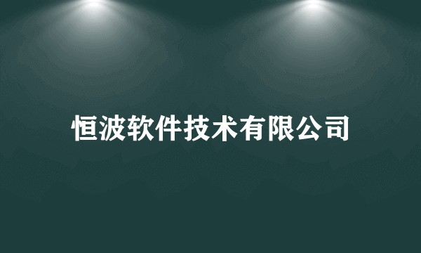 恒波软件技术有限公司