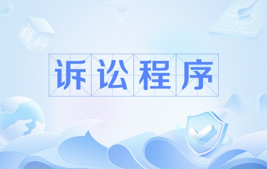 诉讼程序（程序性法律程序）
