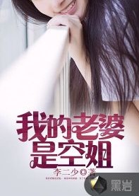 我的老婆是空姐（黑岩网签约作品）