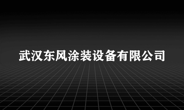 武汉东风涂装设备有限公司
