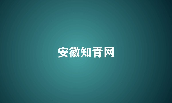 安徽知青网