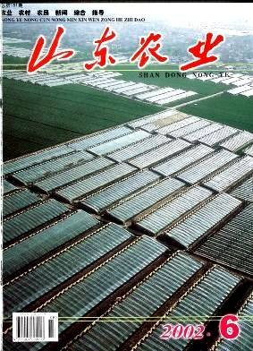 山东农业