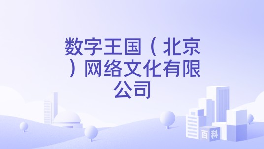数字王国（北京）网络文化有限公司