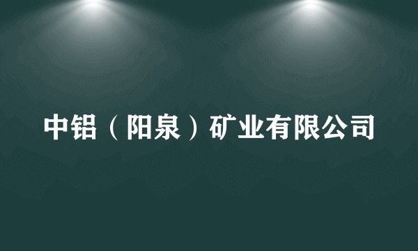 中铝（阳泉）矿业有限公司