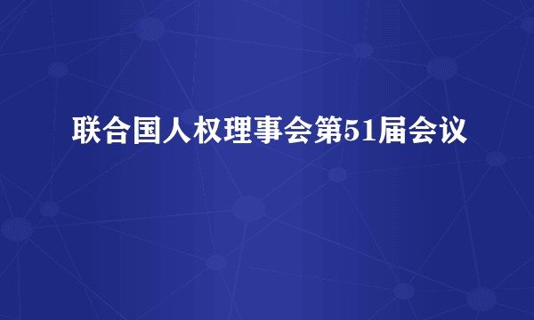 联合国人权理事会第51届会议
