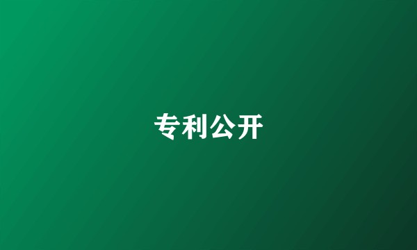 专利公开