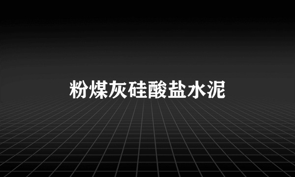 粉煤灰硅酸盐水泥