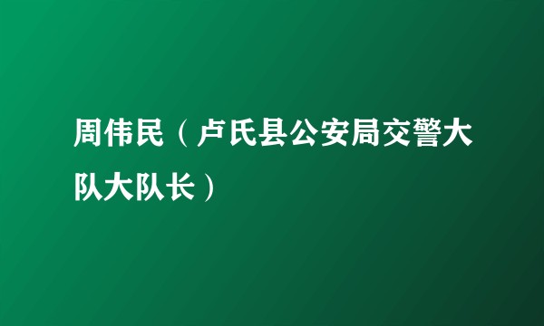 周伟民（卢氏县公安局交警大队大队长）